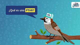 ¿Qué es una PTAR?