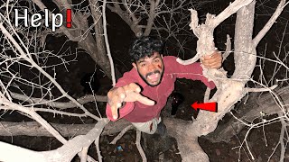 Night Challenge in Forest - मरते मरते बचा