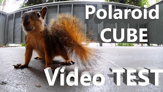 Polaroid Cube Video Test - Subject: Squirrels