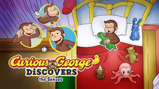 Curious George Discovers the Senses (science storybook) | Animated Children's Read Aloud Books 📘🌟