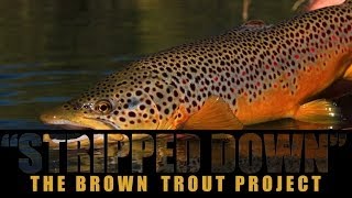 Stripped Down: The Brown Trout Project (Intro/Trailer)