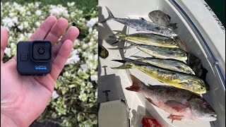 GoPro 11 Mini Review with Miami Mahi, Kingfish & Mutton Snapper