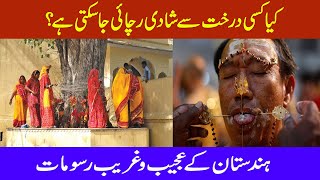 Strangely poor rituals of India | ہندوستان کے عجیبو غریب رسومات | Faisal TV