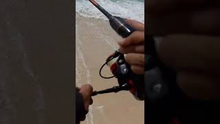 strike ikan talang2 dari tebing#shorts #lombokfishing