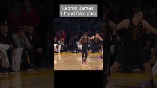 Who is better on One-hand fake pass? lebron or Jordan?