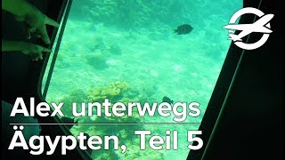 Port Ghalib in Ägypten: Die Unterwasserwelt ✈️ Alex Unterwegs ✈️