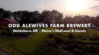 MidCoast Maine Series: Odd Alewives Farm Brewery