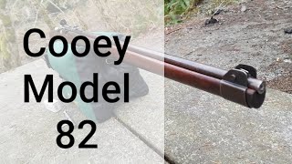 Cooey 82 (Canadian military training rifle)