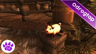 Mascotes em Battle for Azeroth - Como pegar Odrogtap!