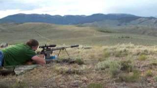 408 cheytac suppressed at 2200 yards