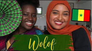 [Episode 4]:Wolof with SenegaleseTwisted 🇸🇳 نعلمكم الولفية