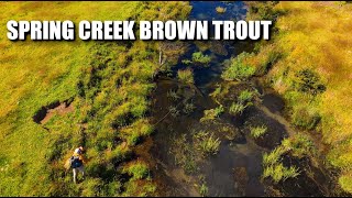 "SPRING CREEK IMMERSION: EAST OF THE ANDES" - Fly Fishing a Chilean Spring Creek Brown Trout