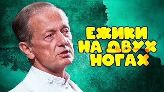 Михаил Задорнов - ЕЖИКИ НА ДВУХ НОГАХ |  Лучшее из юмористических концертов @BestPlayerMusic