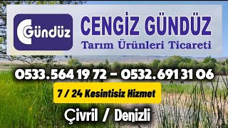 Türkiye'de Markalaşan İsimler "Cengiz Gündüz"