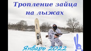 Охота на зайца зимой/лиса меня опередила/тест лыж/январь 2022 Охота на зайца/тест лыж/Январь 2022