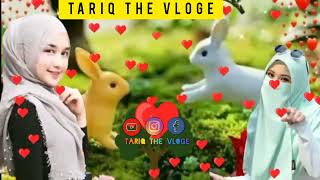 Gojri dukhi whatsapp status @tariqthevloge8833