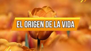 El origen de la vida | 26 De Agosto| La Buena Semilla 2024 | Meditaciones Cotidianas