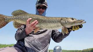 Big Northern Pike and Bass - May 15