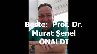 NASIL YAŞARIM - Beste: ŞENEL ÖNALDI - Söz: ALTAN TÜRKOĞLU