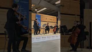 QUARTETTO DELL' ACCADEMIA CONCERTANTE 14 SETTEMBRE 2024