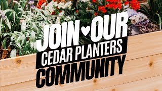 Cedar Planters - made with love, care, and quality!