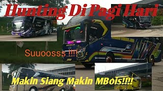 Hunting Bus Angkatan Pagi | Makin Siang makin MBoiiiss‼️