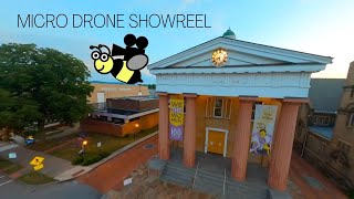 Micro Drone Show Reel