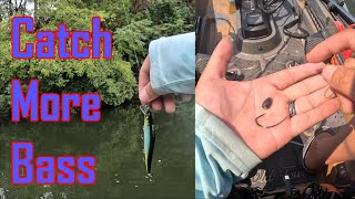 BEST SUMMER Lures for Bass | Jerkbait & Texas-Rig TIPS | Kayak Fishing the Chicago River