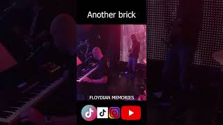 Another Brick In The Wall - Floydian Memories