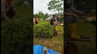 Hadil modifikasi gerobak rumput dan traktor #traktor #domba #rumput #pakandomba