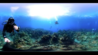 Scuba Diving "Blue Channel" in Roatán, Honduras in 360°! November 2022