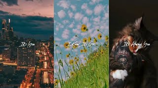 It's You - Ali Gatie | 🤩 Latest and 😍 Trending status | Aesthetic video status