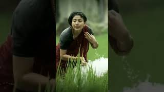 sai pallavi new love whatsapp status💞👌#saipallavi #shoryoutube #ytshort #tujhmeinrabdikhtahai #yt