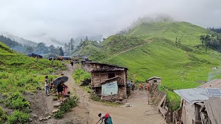 Hard Life of Nepali Mountain People | Crop According To Time Cutting |  Real Nepali Village Life