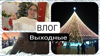 ВЛОГ 👉 вместе проводим субботу 👉второе новогоднее видео 🐰