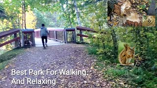 Best Park For Walking And Relaxing, Old Trees, Amazing Views, Beautiful Nature