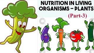 NUTRITION IN LIVING ORGANISMS - PLANTS (Class 7th) DAV