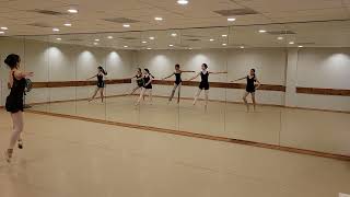 Contemporary Ballet Combo