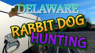 DELAWARE RABBIT DOG HUNTING WITH CHICK A DEE AND BUDDY RO.