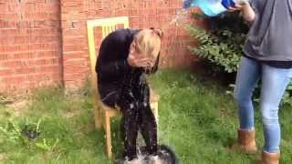 Shannon Laurie's Ice Bucket Challenge