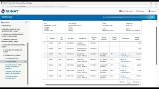 Como corregir error de pago SUNAT - 2024 -Facil y Rapido