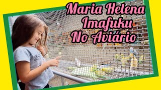 Aviário com Maria Helena Imafuku