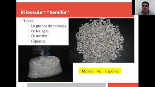 Curso introductorio a la producción de hongos comestibles sobre sustrato - Módulo 3