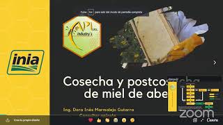 INIA: Cosecha y Postcosecha de Miel de Abeja