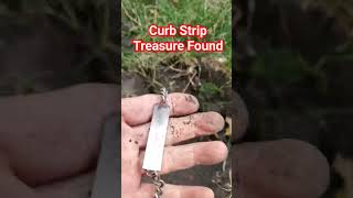 Metal Detecting A Curb Strip in an Old Chicago Neighborhood #treasure  #shorts #short #shortsvideo