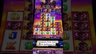 Delaware Park Casino 16 Buffaloes 🦬 😍😍🎰 #love #gambling #shorts