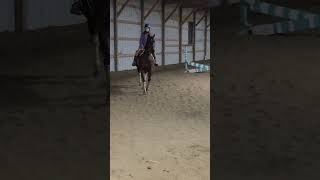 Bethany on Koda old video #horse #dressage #equestrian #horsetype #ponyhorse #shortvideos #riding