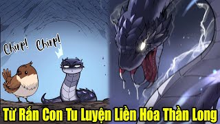 Full Phần 1 | Từ Rắn Con Tu Luyện Liền Hóa Thành Thần Long | Review Truyện