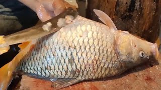 Amazing Live Fish Cutting Skills | Incredible Big Carp Fish Cutting Skills In Fish Market