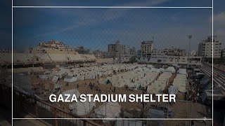 Internally displaced Gazans seek refuge inside stadium